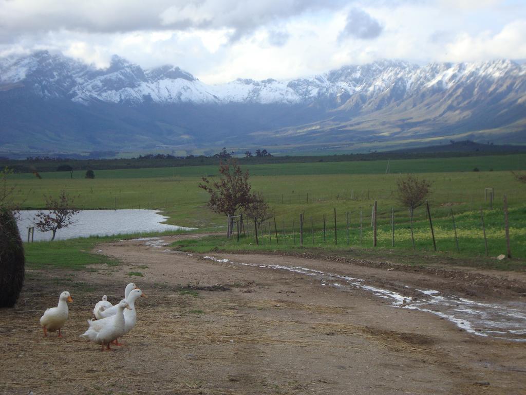 Eikelaan Farm Cottages Tulbagh Exterior photo