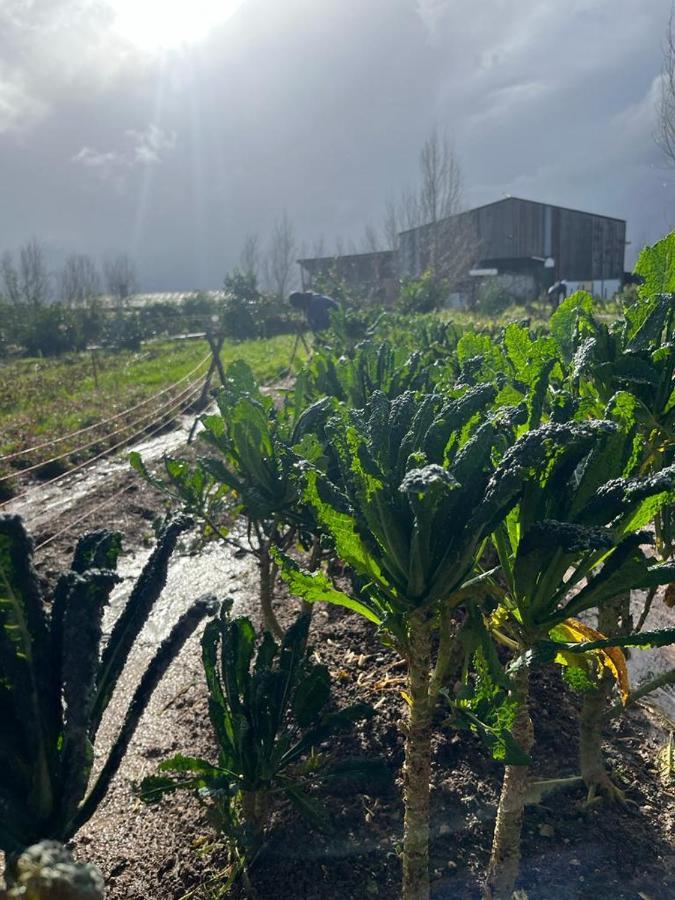 Eikelaan Farm Cottages Tulbagh Exterior photo