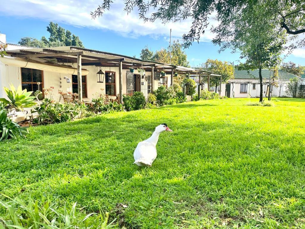 Eikelaan Farm Cottages Tulbagh Exterior photo