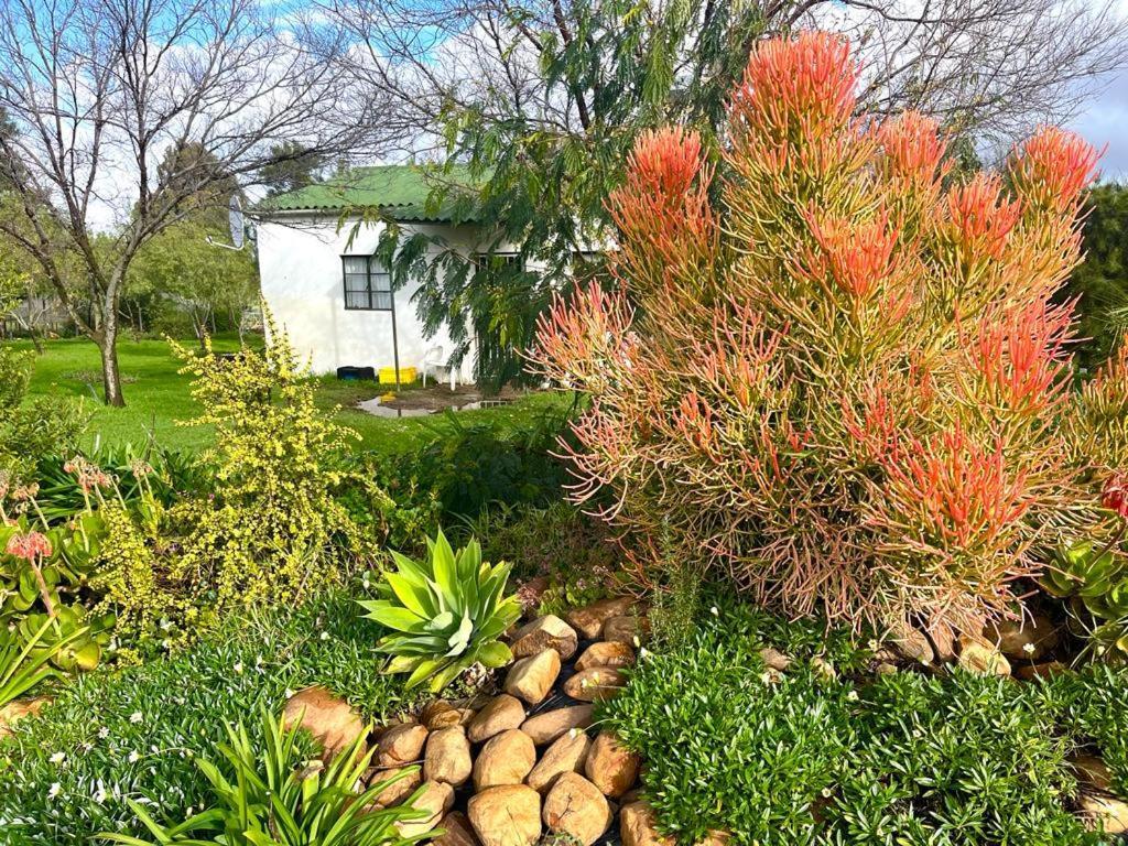 Eikelaan Farm Cottages Tulbagh Exterior photo